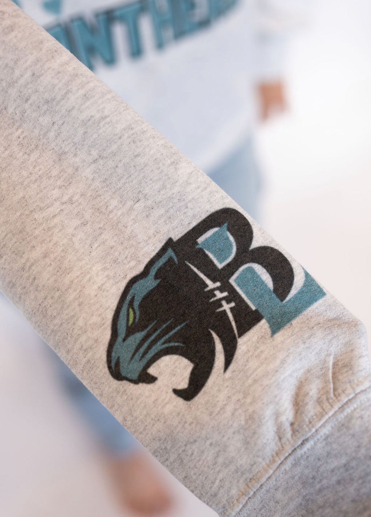 Bonney Lake Graphic Crew Neck-Adult
