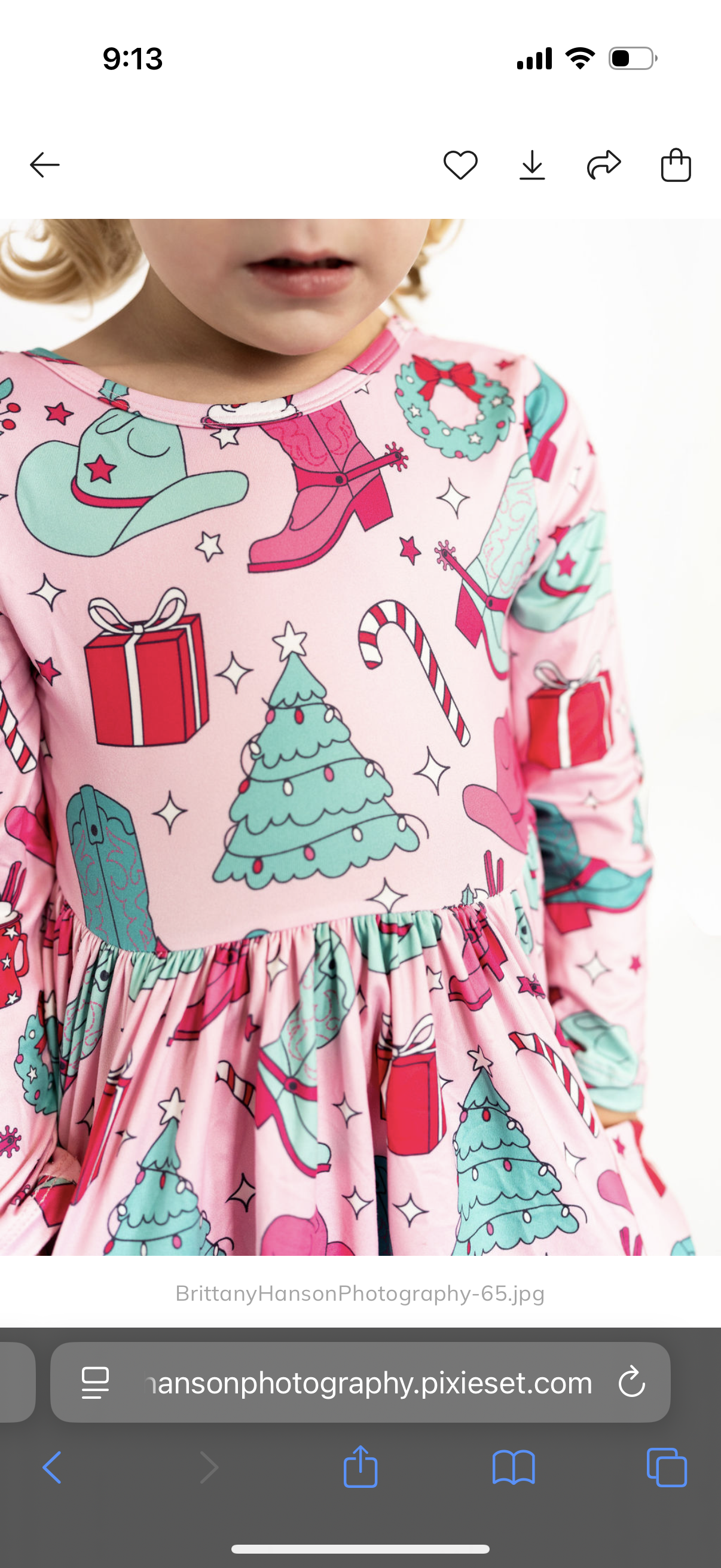 Cowgirl Christmas Twirl Dress