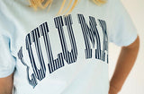 Lulu Mac Blue Stripe Chambray Tee | Women's - Teigan & Co