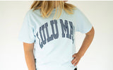 Lulu Mac Blue Stripe Chambray Tee | Women's - Teigan & Co